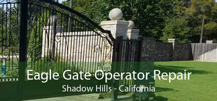 Eagle Gate Operator Repair Shadow Hills - California