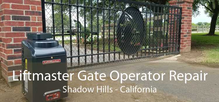 Liftmaster Gate Operator Repair Shadow Hills - California